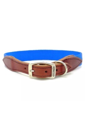 royal dog collars