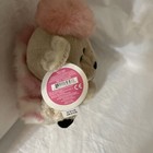 Foto 9 di 13