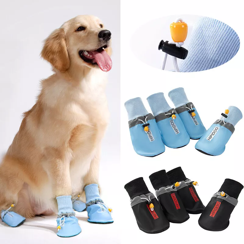 Puppies in hotsell boots