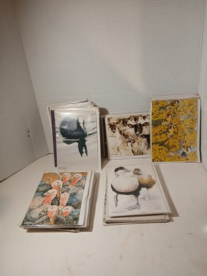 Lot of 34 Olga Knight SWA Designs Wildlife  CARDS  With Envelopes  New