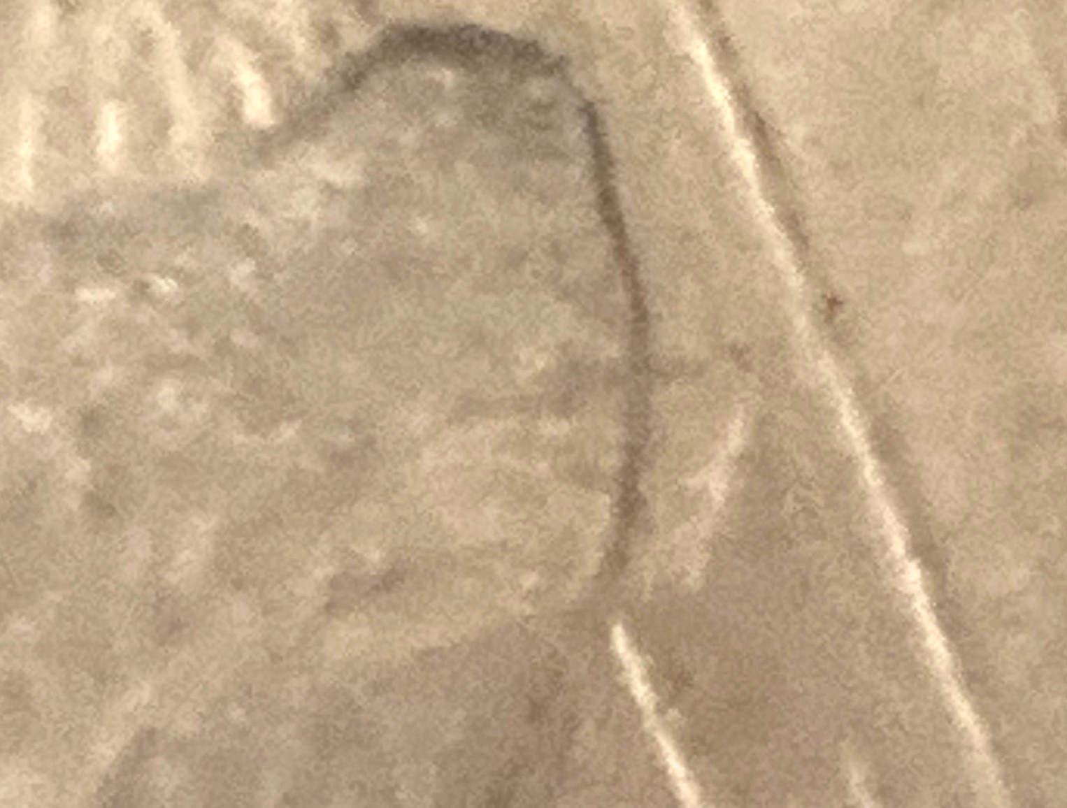 1922 SILVER DOLLAR WITH SMALL STRUCK THRU ERROR ON EAGLE'S  WING