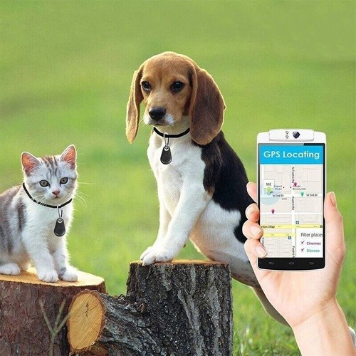 Mini tracker GPS bluetooth animal, clé, objets etc - application gratuite - Photo 4/4