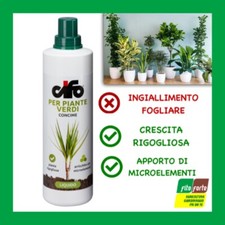 CONCIME LIQUIDO PER PIANTE VERDI CIFO 500 ML MICROELEMENTI CYCAS FICUS KENZIA 