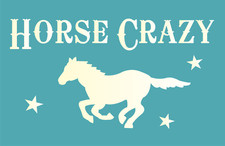 Horse Crazy STENCIL Cowboy Western Pony Lover Southwest DIY Craft Signs Joanie