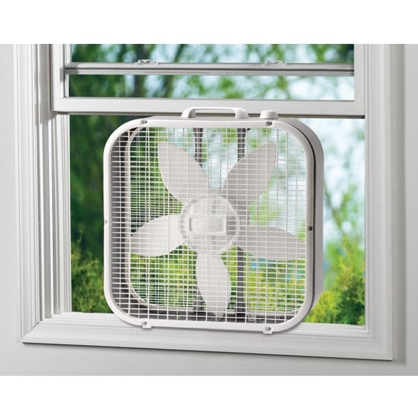 Lasko Cool Colors 20