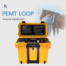 Pemf Magnetic Therapy Device Physio Magneto Horse PEMT LOOP Body Relax Massager