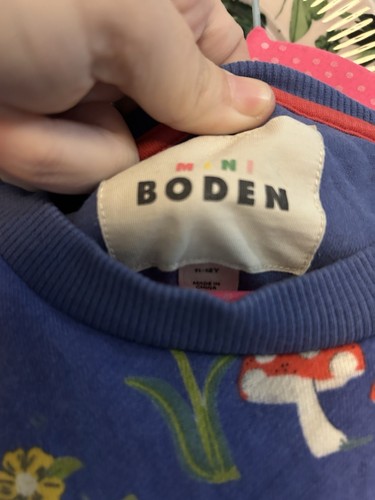 Mini Boden Mushroom Hedgehog Sweatshirt Pullover 11/12 - Picture 4 of 5