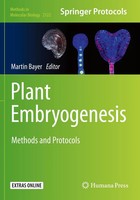 Martin Bayer | Plant Embryogenesis | Taschenbuch | Englisch (2021) | Xi | Humana