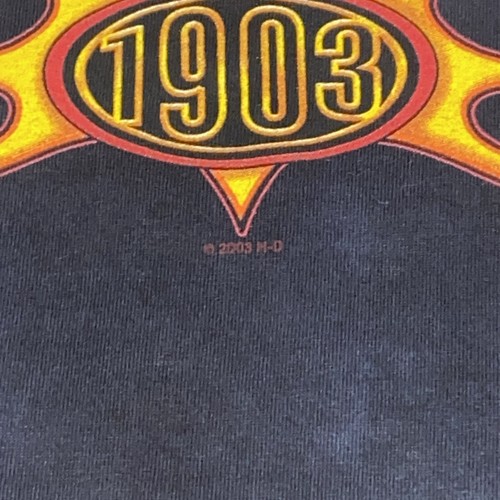 T-shirt vintage Harley Davidson tie dye fiamme punto singolo M USA Y2K AOP SC - Foto 5 di 13