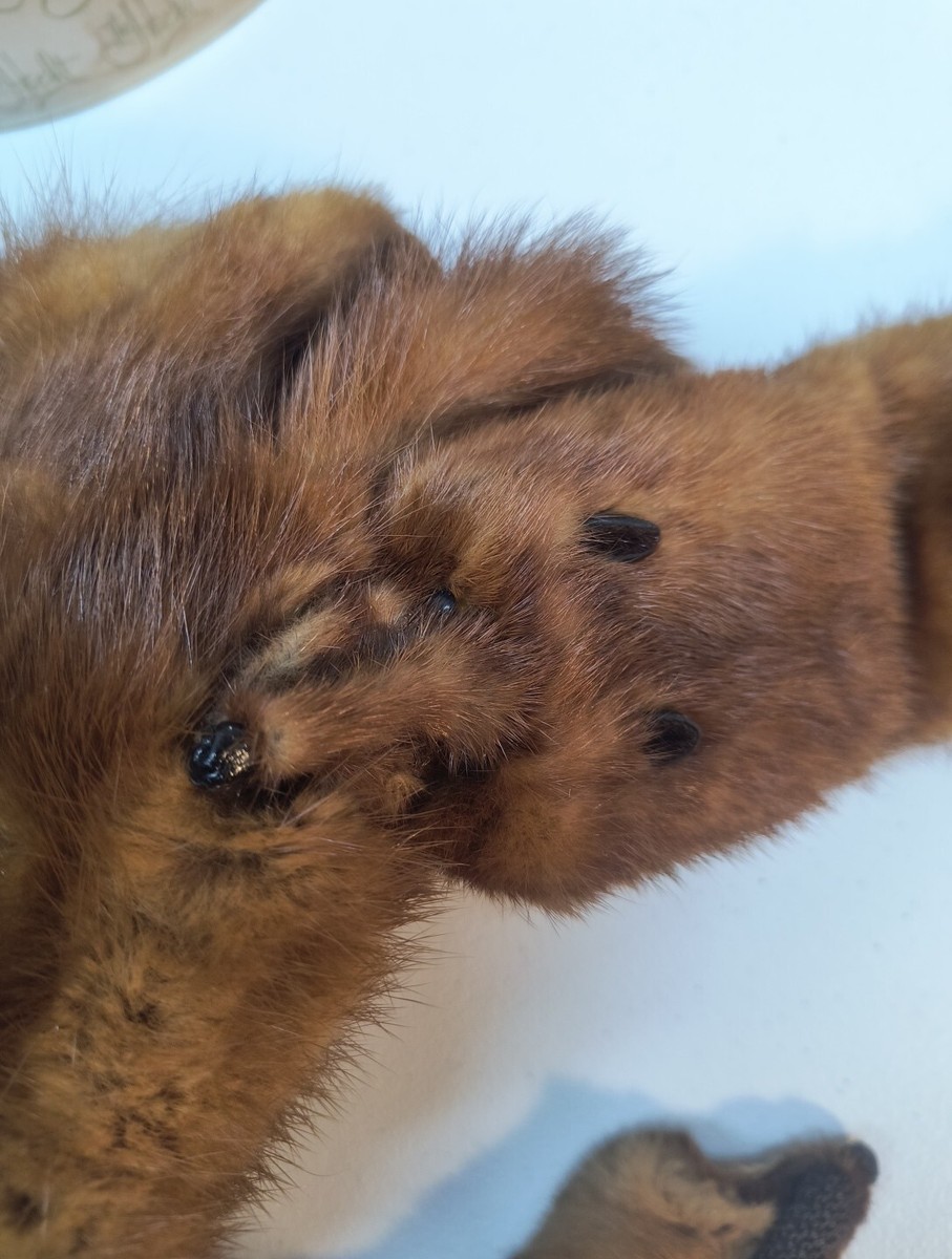 00’s Archive PPFM Scalf Stole 00's Archive PPFM Scalf Stole Vintage Mink Stole, 1930s-40s