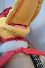 Bild 9 von 11