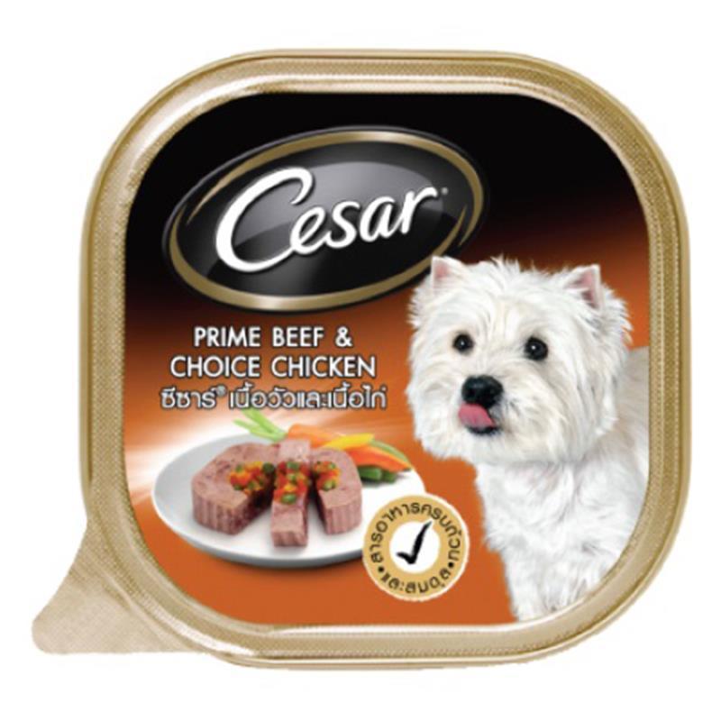 CESAR Animali Domestici Alimento Cane Bagnato CARNE BOVINA PRIMA + POLLO A...