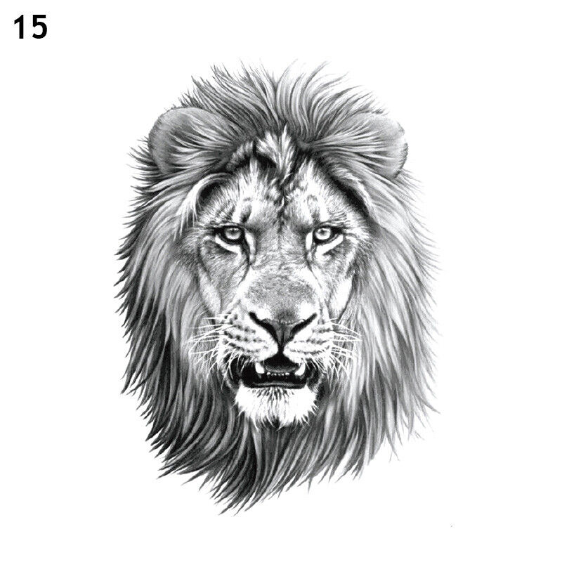 Bild 72 von 73