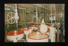 1960s Dipping and Removing the Curd Swiss Cheese Factory Monroe WI Green Co PC