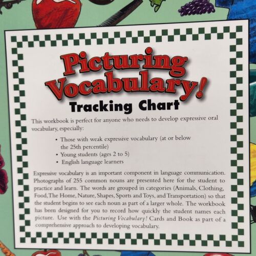 Picturing Vocabulary Tracking Charts Visualizing and Verbalizing Nanci Bell - Picture 3 of 10