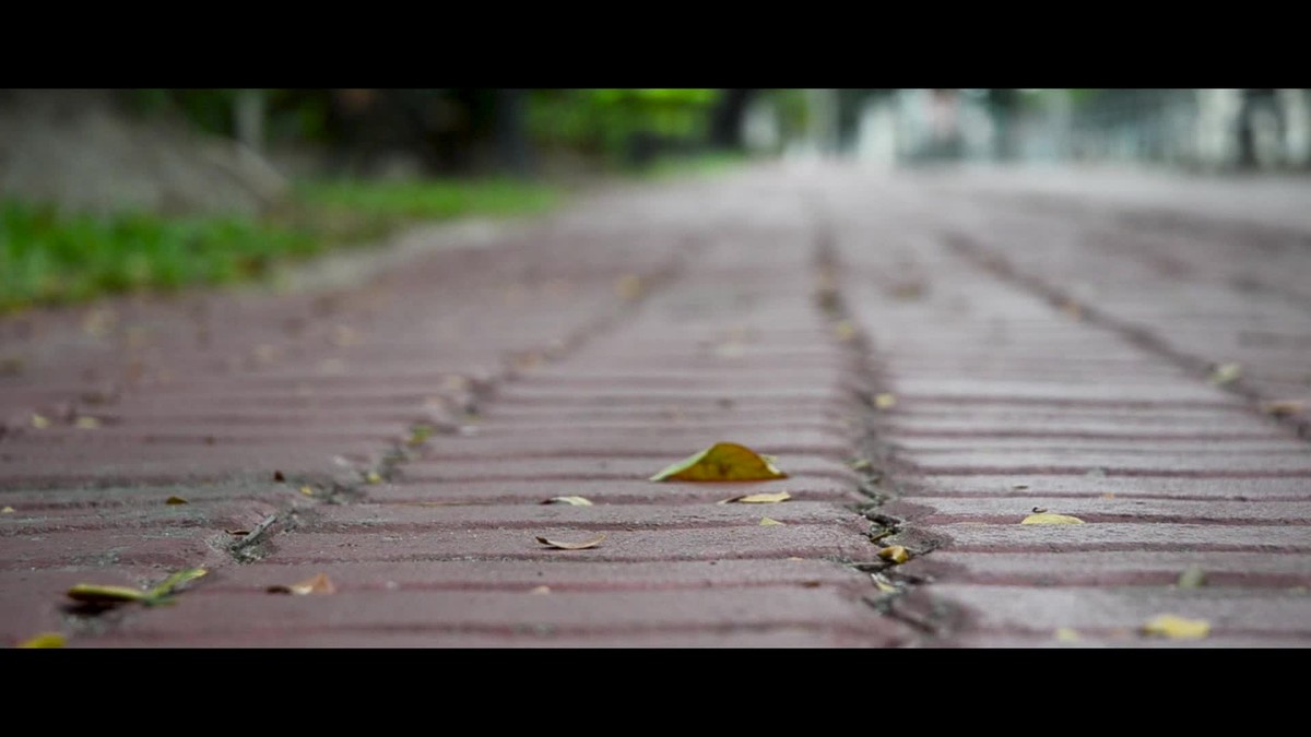 HEAD CASE DESIGNS OLD SCHOOL TATTOOS HYBRID HUELLE FÜR APPLE