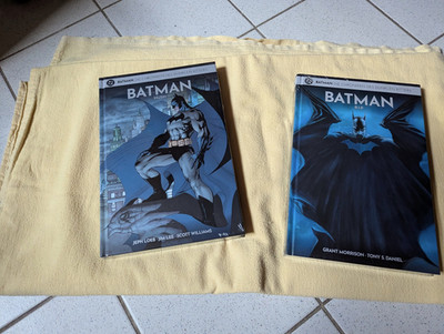 Batman - die chroniken des dunklen ritters DC