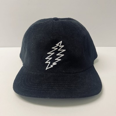 Teton Gravity Research Grateful Dead Corduroy Hat