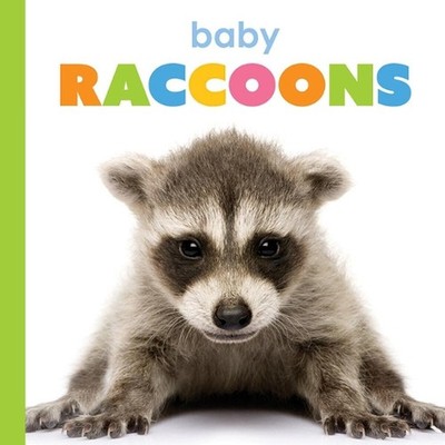 Baby Raccoons by Kim Thompson Paperback Book