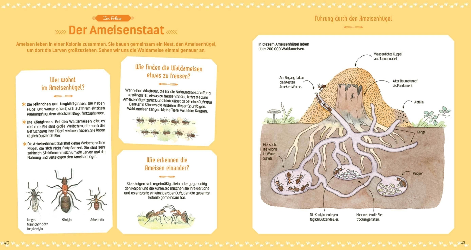 Thumbnail - Das Große Buch Der Kleinen Tiere | Nathalie Tordjman | Buch | 72 S. |