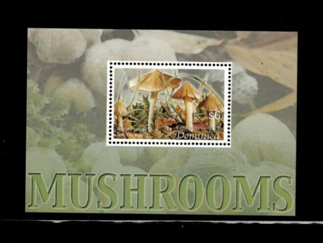 MODERN GEMS - Dominica 2004 - Mushrooms - Souvenir Stamp Sheet Scott 2534 - MNH