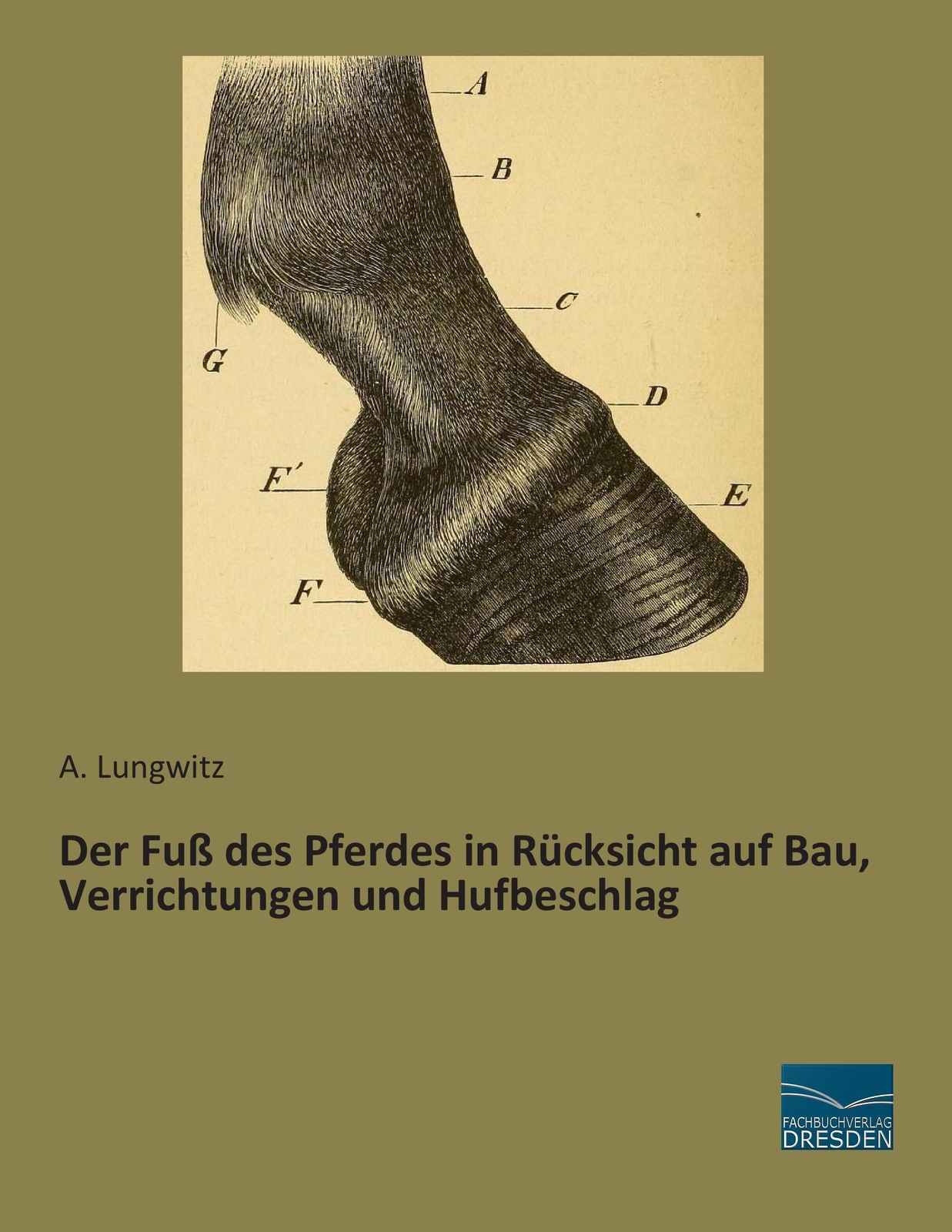 Thumbnail - Der Fuß Des Pferdes In Rücksicht Auf Bau, Verrichtungen Und