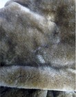 Bild 13 von 17