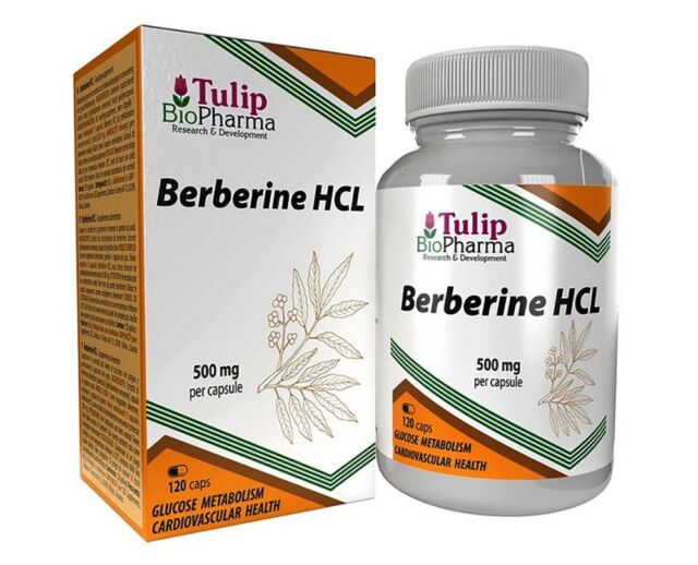 Berberine HCL 500mg 120 Caps Balance Lose Weight Cholesterol Heart