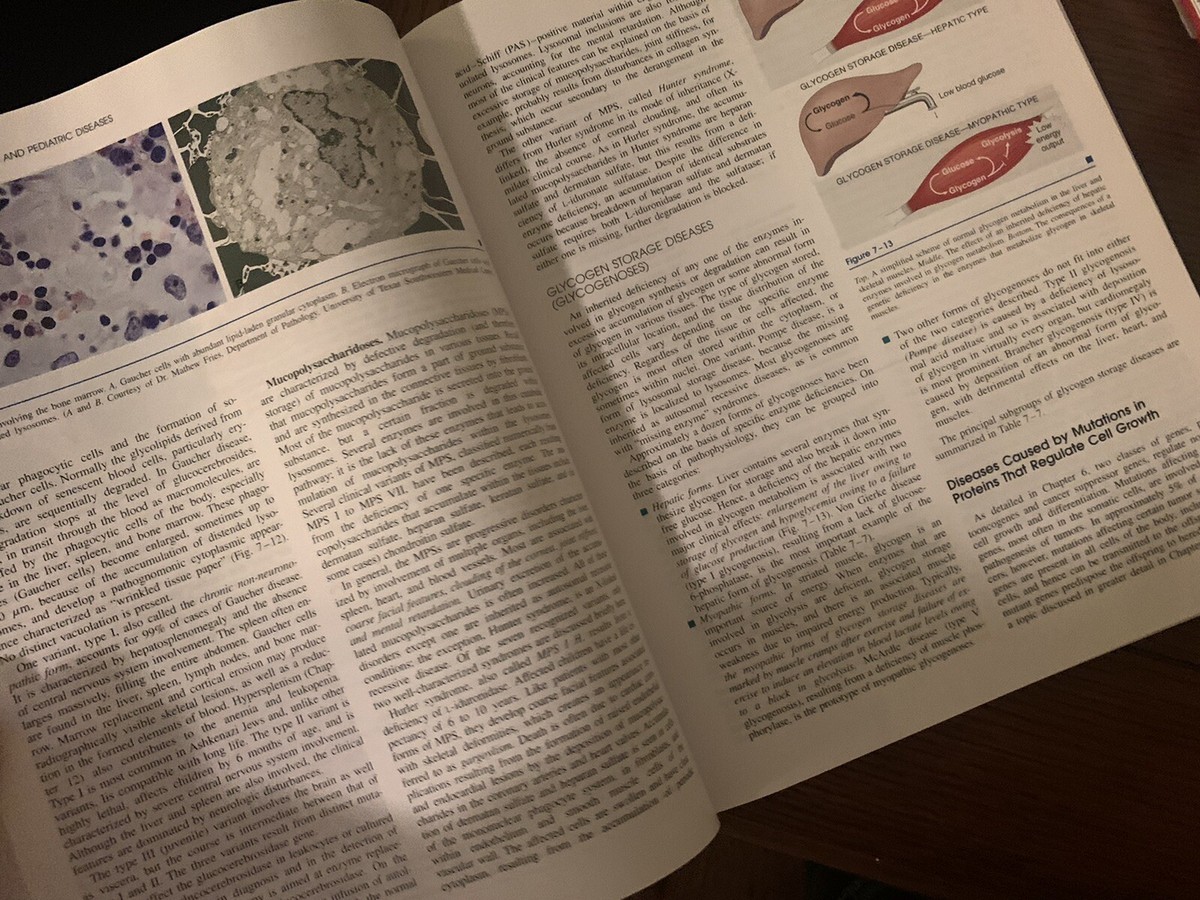robbins basic pathology 7th Edition | eBay