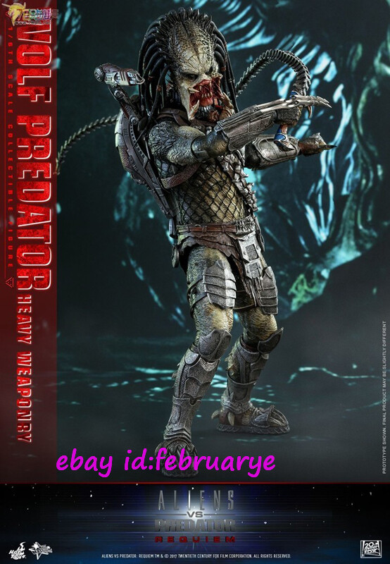 1/6 12インチ HOT TOYS [DEVGRU] Hot Toys - 12'' Devgru ver.2