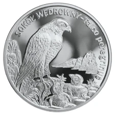 Poland 2008 PEREGRINE FALCON Endangered Sokol 20 Zl Zloty Zlotych Silver Proof
