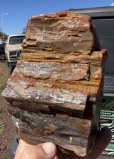 RR: Top Quality Agate/Druzy Arizona Petrified Wood, 3.75 Lb