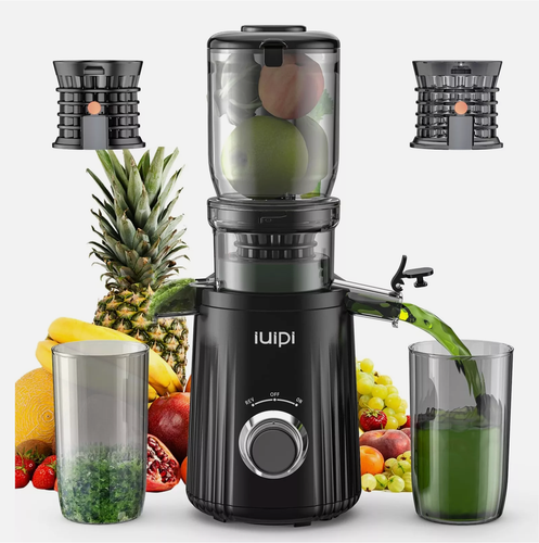 Cold Press Juicer, Slow Masticating Juicer Machine for Whole Vegetables Fruits