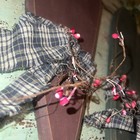 Picture 2 of 8