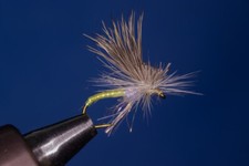Fly Tom Dry Fly 3 Pack Mercer's Missing Link Light Yellow