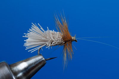 Fliegentom 3 Stück Goddard Sedge - Caddis (Köcherfliege)