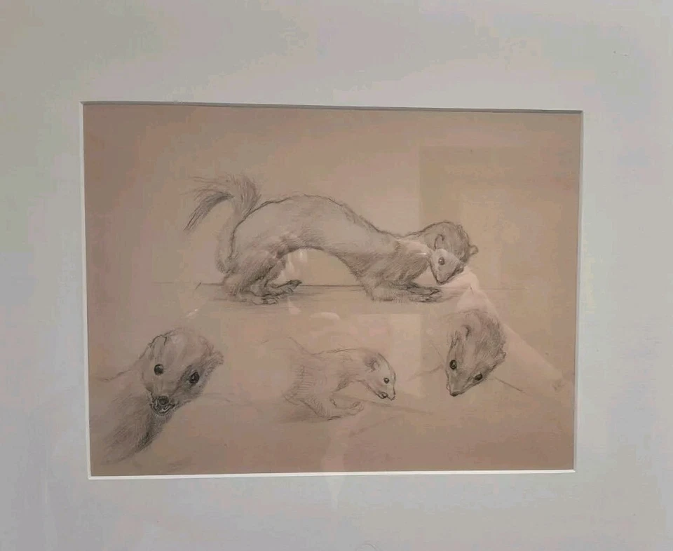 Dibujo a lápiz original Harold Cohen Foto 3 de 4