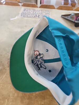 Vintage NBA Charlotte Hornets Snapback Hat Twins Enterprise Twill