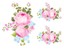 Shabby Cabbage Roses Swags Corners Transfers Decoupage Waterslide ...
