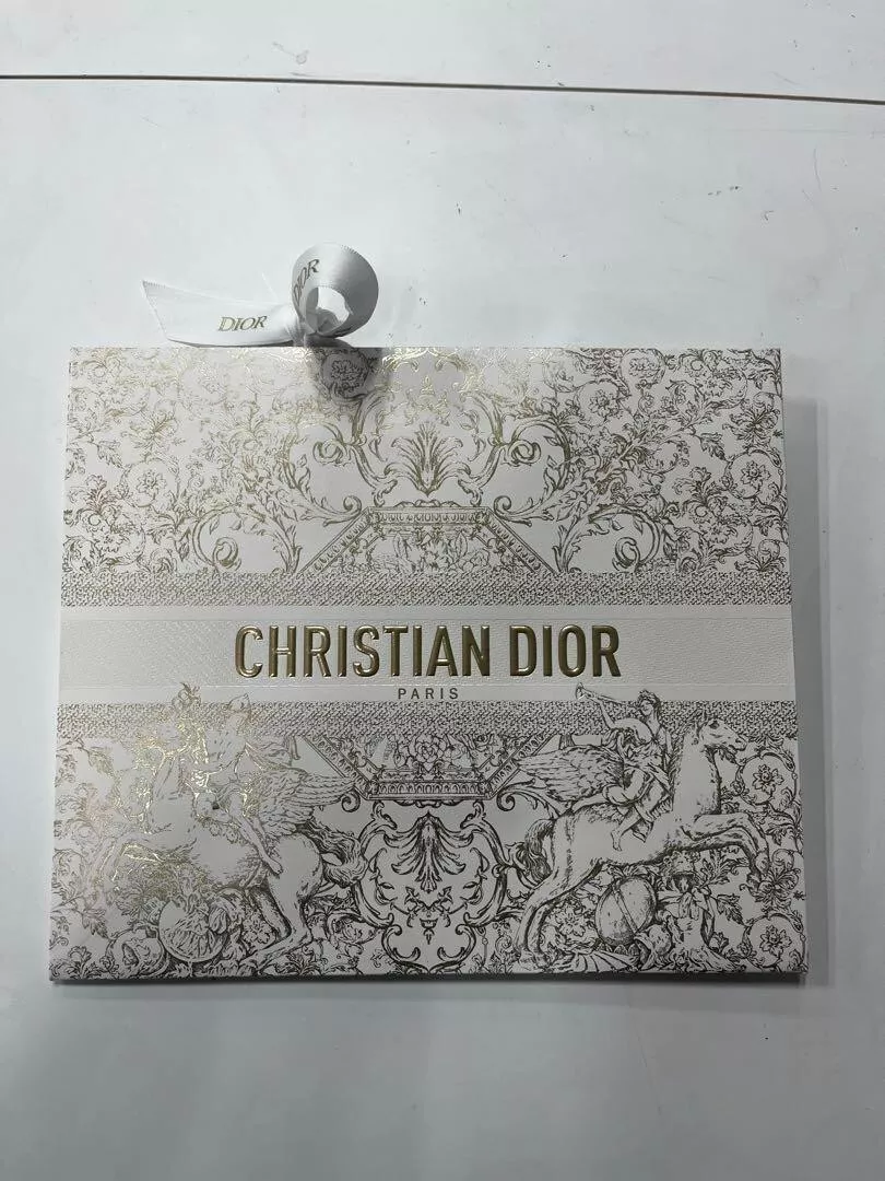 Lot de 10 sacs cadeaux en papier moyen Dior Xmas Edition 2023 9,1