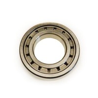 Skf Zylinderrollenlager 120X260X55 Mm N324 ECP/C3