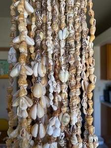 Seashell Lei Necklace Lot 17 Pieces Cowrie Snail Natural Shells