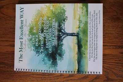 The Most Excellent Way Workbook - Discovering a Personal Relationship with Jesus