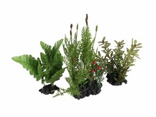 3 Pcs Assorted Lifelike Green Aquarium Plastic Plant Decoration
