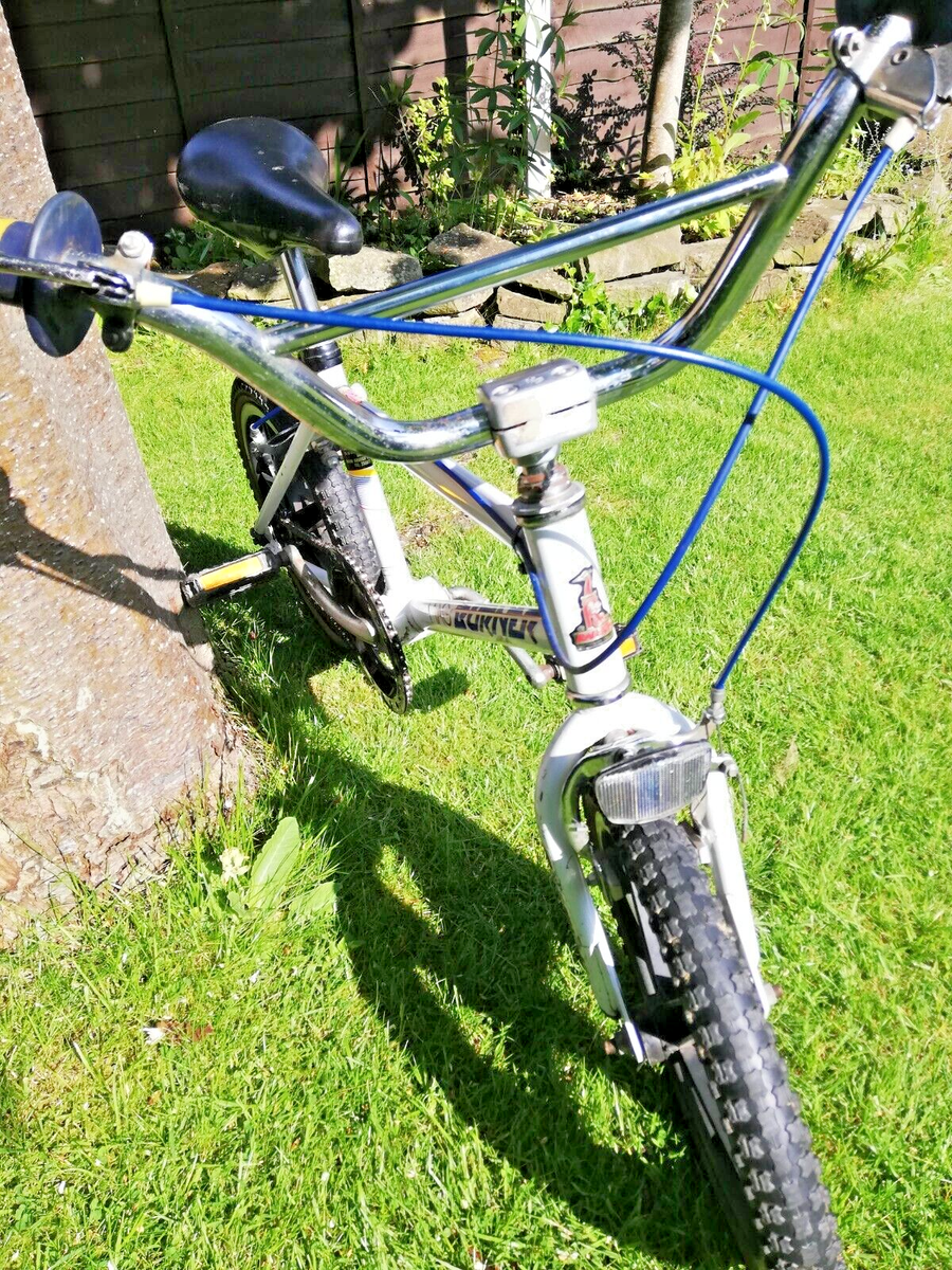Bicycle Chrome Burner Bmx Vintage Raleigh Burner Mk Custom Chrome