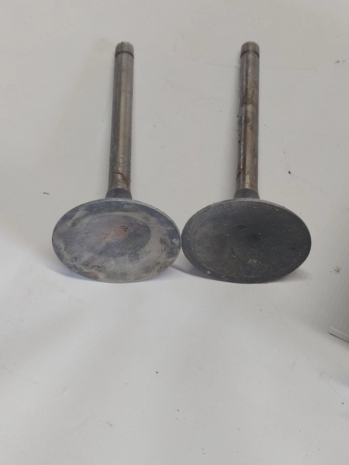 Nuevo de Lote Antiguo Willys Jeep Serie J (STD) 230 Válvulas de admisión 936979 Foto 2 de 4