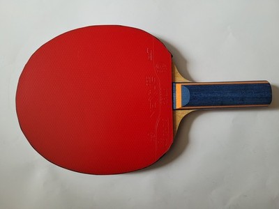 Tischtennisschläger Joola Rosskopf ALL ST Gewo Nexxus Victas S1 KN Neuwertig