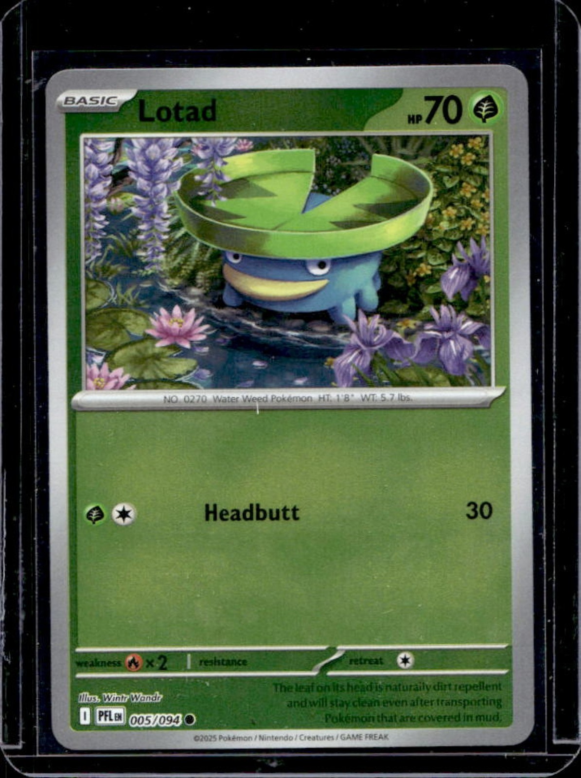 2025 Pokemon Phantasmal Flames Lotad Common #005/094