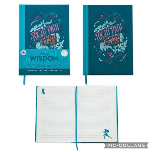 Disney Wisdom Series Limited Edition Quote Lined Journals Dumbo Baloo Piglet - Picture 6 of 25