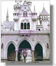 ⭕ 11x14 inches Walt Disney Disneyland Sleeping Beauty Castle 1955 NEW Luster Fin